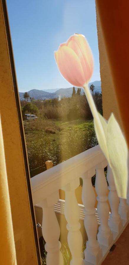 Apartamento Mar Y Sol, Denia Eksteriør bilde